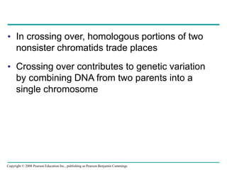 • In crossing over, homologous portions of two
nonsister chromatids trade places
• Crossing over contributes to genetic variation
by combining DNA from two parents into a
single chromosome
Copyright © 2008 Pearson Education Inc., publishing as Pearson Benjamin Cummings
 