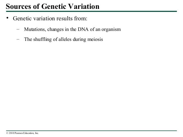 13 lecture presentation0