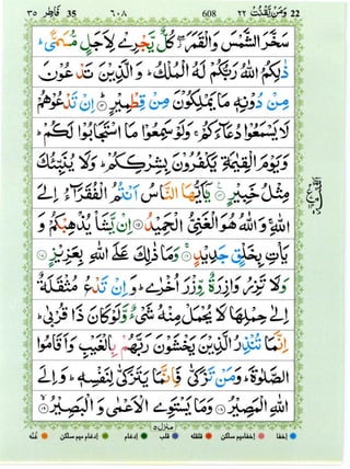 Surah Al Fatir