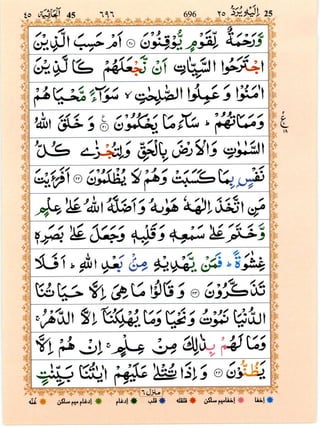 Surah al-Jaathiyah 