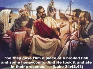 “So they gave Him a piece of a broiled fish
and some honeycomb. And He took it and ate
in their presence. (Luke 24:42,43)
 