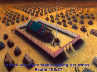 “There was none feeble among His tribes.”
Psalm 105:37
 