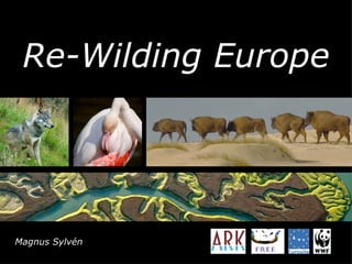Re-Wilding Europe ,[object Object]