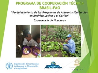 PROGRAMA DE COOPERACIÓN TÉCNICA
BRASIL-FAO
“Fortalecimiento de los Programas de Alimentación Escolar
en América Latina y el Caribe”
Experiencia de Honduras
 