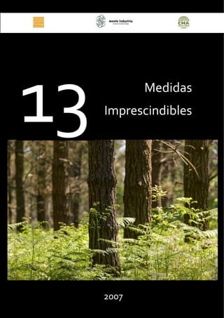 13          Medidas
     Imprescindibles




     2007
 