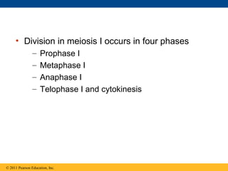 13 meiosis and sexual life cycles | PPT
