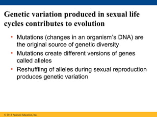 13 meiosis and sexual life cycles | PPT