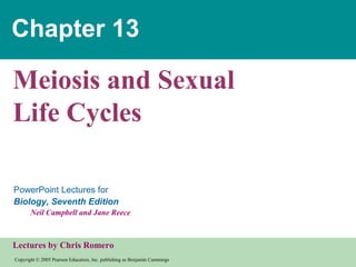 Chapter 13

Meiosis and Sexual
Life Cycles
PowerPoint Lectures for
Biology, Seventh Edition
Neil Campbell and Jane Reece

Lectures by Chris Romero
Copyright © 2005 Pearson Education, Inc. publishing as Benjamin Cummings

 