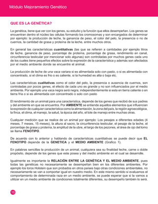 Módulo Mejoramiento Genético
10
QUE ES LA GENÉTICA?
La genética, tiene que ver con los genes, su estudio y la función que ellos desempeñan. Los genes se
encuentran dentro el núcleo las células formando los cromosomas y son encargados de determinar
por ejemplo: la producción de leche, la ganancia de peso, el color del pelo, la presencia o no de
cuernos, la cantidad de grasa y proteína de la leche, entre muchos otros.
En general las características cuantitativas (las que se refieren a cantidades por ejemplo litros
de leche, ganancia de peso, porcentaje de proteína, porcentaje de grasa, rendimiento en canal,
circunferencia testicular por mencionar solo algunas) son controladas por muchos genes cada uno
de los cuales tiene pequeños efectos sobre la expresión de la característica y además son afectados
por el medio ambiente donde se encuentre el animal.
La producción de leche de una vaca variara si es alimentada solo con pasto, o si es alimentada con
concentrado, si el clima es frio o es caliente, si la humedad es alta o baja etc.
Las características cualitativas como el color del pelo, la presencia o ausencia de cuernos, son
controladas por pocos genes, el efecto de cada uno es grande y no son influenciados por el medio
ambiente. Por ejemplo una vaca negra será negra, independientemente si esta en tierra caliente o en
tierra fría o si es alimentada con concentrado o solo con pasto
El rendimiento de un animal para una característica, depende de los genes que recibió de sus padres
y del ambiente en que se encuentra. Por AMBIENTE se entiende aquellos elementos que influencian
la expresión de cualquier característica como la alimentación, la zona del país, la región agroecológica,
la finca, el clima, el manejo, la salud, la época del año, el lote de manejo entre muchas otras.
Cualquier medición que se realice de un animal por ejemplo: Los pesajes a diferentes edades (4
meses, 7 meses, 15 meses), la altura al sacro, la circunferencia testicular, el pesaje de la leche, el
porcentaje de grasa y proteína, la amplitud de la ubre, el largo de los pezones, el área de ojo del lomo
se llama FENOTIPO.
De acuerdo con lo anterior y hablando de características cuantitativas se puede decir que EL
FENOTIPO depende de la GENETICA y el MEDIO AMBIENTE (Grafico 1).
En palabras sencillas la producción de un animal, cualquiera sea su finalidad leche, carne o doble
propósito, depende de los genes que este posea y del medio ambiente en el cual se desarrolle.
Igualmente es importante la RELACIÓN ENTRE LA GENÉTICA Y EL MEDIO AMBIENTE, pues
todas las genéticas no necesariamente se desempeñan bien en los diferentes ambientes. Por
ejemplo los toros Holstein que son probados en otros países bajo otras condiciones ambientales, no
necesariamente se van a comportar igual en nuestro medio. En este mismo sentido si evaluamos el
comportamiento de determinada raza en un medio ambiente, se puede esperar que si la vamos a
utilizar en un medio ambiente de condiciones totalmente diferentes, su desempeño también lo será.
 