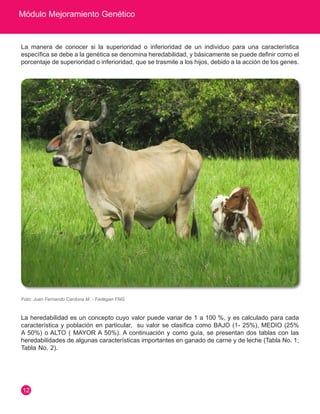 Módulo Mejoramiento Genético
12
La manera de conocer si la superioridad o inferioridad de un individuo para una característica
específica se debe a la genética se denomina heredabilidad, y básicamente se puede definir como el
porcentaje de superioridad o inferioridad, que se trasmite a los hijos, debido a la acción de los genes.
Foto: Juan Fernando Cardona M. - Fedegan FNG
La heredabilidad es un concepto cuyo valor puede variar de 1 a 100 %, y es calculado para cada
característica y población en particular, su valor se clasifica como BAJO (1- 25%), MEDIO (25%
A 50%) o ALTO ( MAYOR A 50%). A continuación y como guía, se presentan dos tablas con las
heredabilidades de algunas características importantes en ganado de carne y de leche (Tabla No. 1;
Tabla No. 2).
 