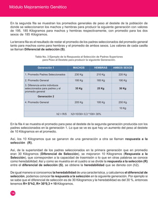 Módulo Mejoramiento Genético
14
En la segunda fila se muestran los promedios generales de peso al destete de la población de
donde se seleccionaron los machos y hembras para producir la siguiente generación con valores
de 195, 185 Kilogramos para machos y hembras respectivamente, con promedio para los dos
sexos de 185 Kilogramos.
La tercera fila es el resultado de restar el promedio de los padres seleccionados del promedio general
tanto para machos como para hembras y el promedio de ambos sexos. Los valores de cada casilla
se llaman Diferencial de selección (S).
Generación 1 MACHOS HEMBRAS AMBOS SEXOS
1. Promedio Padres Seleccionados 230 Kg 210 Kg 220 Kg
2. Promedio General 195 Kg 185 Kg 190 Kg
3. Diferencia entre individuos
seleccionados para padres y el
promedio general
35 Kg 25 Kg 30 Kg
Generación 2
4. Promedio General 205 Kg 195 Kg 200 Kg
10 Kg
h2 = R/S h2=10/30= 0,3 *100= 30%
Tabla No. 3 Ejemplo de la Respuesta al Selección de Padres Superiores
para Peso al Destete para producir la siguiente Generación.
En la fila 4 se muestra el promedio para peso al destete de la segunda generación producida con los
padres seleccionados en la generación 1. Lo que se ve es que hay un aumento del peso al destete
de 10 Kilogramos en el promedio.
Así, los 10 Kilogramos que se ganaron de una generación a otra se llaman respuesta a la
selección (R).
Así, de la superioridad de los padres seleccionados en la primera generación que en promedio
eran 30 Kilogramos (Diferencial de Selección), se mejoraron 10 Kilogramos (Respuesta a la
Selección), que corresponden a la capacidad de trasmisión o lo que en otras palabras se conoce
como heredabilidad. Así y como se muestra en el cuadro si se divide la respuesta a la selección (R)
entre el diferencial de selección (S), se obtiene la heredabilidad que se denota con (h2).
De igual manera si conocemos la heredabilidad de una característica, y calculamos el diferencial de
selección, podemos conocer la respuesta a la selección en la siguiente generación. Por ejemplo si
se sabe que el diferencial de selección es de 30 Kilogramos y la heredabilidad es del 30 %, entonces
tenemos R= S*h2, R= 30*0,3 = 10 Kilogramos.
 