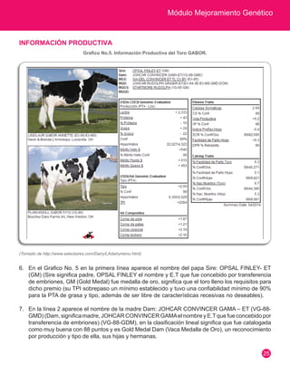Módulo Mejoramiento Genético
25
INFORMACIÓN PRODUCTIVA
Grafico No.5. Información Productiva del Toro GABOR.
(Tomado de http://www.selectsires.com/Dairy/LAdairymenu.html)
6.	 En el Grafico No. 5 en la primera línea aparece el nombre del papa Sire: OPSAL FINLEY- ET
(GM) (Sire significa padre, OPSAL FINLEY el nombre y E.T que fue concebido por transferencia
de embriones, GM (Gold Medal) fue medalla de oro, significa que el toro lleno los requisitos para
dicho premio (su TPI sobrepaso un mínimo establecido y tuvo una confiabilidad mínimo de 90%
para la PTA de grasa y tipo, además de ser libre de características recesivas no deseables).
7.	 En la línea 2 aparece el nombre de la madre Dam: JOHCAR CONVINCER GAMA – ET (VG-88-
GMD) (Dam, significa madre, JOHCAR CONVINCER GAMAel nombre y E.Tque fue concebido por
transferencia de embriones) (VG-88-GDM), en la clasificación lineal significa que fue catalogada
como muy buena con 88 puntos y es Gold Medal Dam (Vaca Medalla de Oro), un reconocimiento
por producción y tipo de ella, sus hijas y hermanas.
 