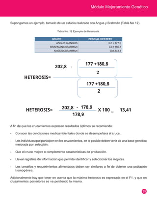 Módulo Mejoramiento Genético
35
GRUPO PESO AL DESTETE
ANGUS X ANGUS 3.2 ± 177.0
BRAHMANXBRAHMAN ±3.2 180.8
ANGUSXBRAHMAN 202.8±3.4
Supongamos un ejemplo, tomado de un estudio realizado con Angus y Brahmán (Tabla No 12).
Tabla No. 12 Ejemplo de Heterosis.
A fin de que los cruzamientos expresen resultados óptimos se recomienda:
-	 Conocer las condiciones medioambientales donde se desempeñara el cruce.
-	 Los individuos que participen en los cruzamientos, en lo posible deben venir de una base genética
mejorada por selección.
-	 Que el cruce mejore o complemente características de producción.
-	 Llevar registros de información que permita identificar y seleccionar los mejores.
-	 Los tamaños y requerimientos alimenticios deben ser similares a fin de obtener una población
homogénea.
Adicionalmente hay que tener en cuenta que la máxima heterosis es expresada en el F1, y que en
cruzamientos posteriores se va perdiendo la misma.
 
