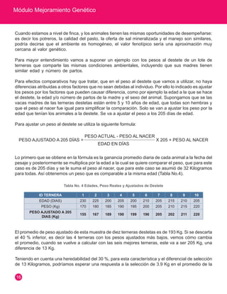 Módulo Mejoramiento Genético 
16 
Cuando estamos a nivel de finca, y los animales tienen las mismas oportunidades de desempeñarse: 
es decir los potreros, la calidad del pasto, la oferta de sal mineralizada y el manejo son similares, 
podría decirse que el ambiente es homogéneo, el valor fenotípico sería una aproximación muy 
cercana al valor genético. 
Para mayor entendimiento vamos a suponer un ejemplo con los pesos al destete de un lote de 
terneras que comparte las mismas condiciones ambientales, incluyendo que sus madres tienen 
similar edad y número de partos. 
Para efectos comparativos hay que tratar, que en el peso al destete que vamos a utilizar, no haya 
diferencias atribuidas a otros factores que no sean debidas al individuo. Por ello lo indicado es ajustar 
los pesos por los factores que pueden causar diferencia, como por ejemplo la edad a la que se hace 
el destete, la edad y/o número de partos de la madre y el sexo del animal. Supongamos que se las 
vacas madres de las terneras destetas están entre 5 y 10 años de edad, que todas son hembras y 
que el peso al nacer fue igual para simplificar la comparación. Solo se van a ajustar los peso por la 
edad que tenían los animales a la destete. Se va a ajustar el peso a los 205 días de edad. 
Para ajustar un peso al destete se utiliza la siguiente formula: 
PESO AJUSTADO A 205 DÍAS = 
PESO ACTUAL - PESO AL NACER 
X 205 + PESO AL NACER 
EDAD EN DÍAS 
Lo primero que se obtiene en la fórmula es la ganancia promedio diaria de cada animal a la fecha del 
pesaje y posteriormente se multiplica por la edad a la cual se quiere comparar el peso, que para este 
caso es de 205 días y se le suma el peso al nacer, que para este caso se asumió de 32 Kilogramos 
para todas. Así obtenemos un peso que es comparable a la misma edad (Tabla No.4). 
Tabla No. 4 Edades, Peso Reales y Ajustados de Destete 
ID TERNERA 1 2 3 4 5 6 7 8 9 10 
EDAD (DIAS) 230 225 200 205 200 210 205 215 210 205 
PESO (Kg) 170 180 185 190 195 200 205 210 215 220 
PESO AJUSTADO A 205 
DIAS (Kg) 155 167 189 190 199 196 205 202 211 220 
El promedio de peso ajustado de esta muestra de diez terneras destetas es de 193 Kg. Si se descarta 
el 40 % inferior, es decir las 4 terneras con los pesos ajustados más bajos, vemos cómo cambia 
el promedio, cuando se vuelve a calcular con las seis mejores terneras, este va a ser 205 Kg, una 
diferencia de 13 Kg. 
Teniendo en cuenta una heredabilidad del 30 %, para esta característica y el diferencial de selección 
de 13 Kilogramos, podríamos esperar una respuesta a la selección de 3.9 Kg en el promedio de la 
 