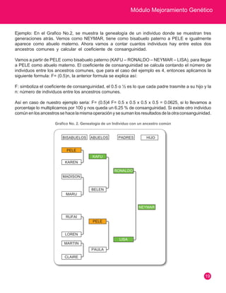 Módulo Mejoramiento Genético 
19 
Ejemplo: En el Grafico No.2, se muestra la genealogía de un individuo donde se muestran tres 
generaciones atrás. Vemos como NEYMAR, tiene como bisabuelo paterno a PELE e igualmente 
aparece como abuelo materno. Ahora vamos a contar cuantos individuos hay entre estos dos 
ancestros comunes y calcular el coeficiente de consanguinidad. 
Vamos a partir de PELE como bisabuelo paterno (KAFU – RONALDO – NEYMAR – LISA), para llegar 
a PELE como abuelo materno. El coeficiente de consanguinidad se calcula contando el número de 
individuos entre los ancestros comunes, que para el caso del ejemplo es 4, entonces aplicamos la 
siguiente formula: F= (0.5)n, la anterior formula se explica así: 
F: simboliza el coeficiente de consanguinidad, el 0.5 o ½ es lo que cada padre trasmite a su hijo y la 
n: número de individuos entre los ancestros comunes. 
Así en caso de nuestro ejemplo seria: F= (0.5)4 F= 0.5 x 0.5 x 0.5 x 0.5 = 0.0625, si lo llevamos a 
porcentaje lo multiplicamos por 100 y nos queda un 6.25 % de consanguinidad. Si existe otro individuo 
común en los ancestros se hace la misma operación y se suman los resultados de la otra consanguinidad. 
Grafico No. 2. Genealogía de un Individuo con un ancestro común 
BISABUELOS ABUELOS PADRES HIJO 
KAFU 
KAREN 
PELE 
RUFAI 
MARTIN 
MADISON 
MARU 
LOREN 
PAULA 
BELEN 
PELE 
CLAIRE 
RONALDO 
LISA 
NEYMAR 
 