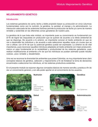 Módulo Mejoramiento Genético 
9 
MEJORAMIENTO GENÉTICO 
Introducción 
Los sistemas ganaderos de carne, leche y doble propósito basan su producción en cinco columnas 
fundamentales como son la nutrición, la genética, la sanidad, el manejo y la administración. La 
interacción adecuada de los anteriores factores permite la producción de leche y/o carne de manera 
rentable y sostenible en las diferentes zonas ganaderas de nuestro país. 
La genética de lo que trata este módulo, es importante pues su conocimiento es fundamental con 
el fin de lograr las respuestas en producción que se quieran de acuerdo a la oferta ambiental de 
que se disponga. De acuerdo a lo anterior, es importante conocer el medio ambiente en que se 
van a desarrollar los individuos y de acuerdo a este seleccionar aquellas razas y/o cruces que se 
van a utilizar, con el fin de que su potencial genético pueda ser expresado. Lo anterior es de vital 
importancia, pues reconocer aquellos individuos adaptados al medio ambiente con mejor producción, 
marca un paso fundamental en la rentabilidad y productividad de los sistemas ganaderos, pues 
realizar modificaciones al ambiente a fin de que los individuos se puedan aclimatar puede resultar 
costoso, poco rentable y desalentador. 
Una vez se reconoce la diversidad de ambientes que posee Colombia, es muy importante tener claro 
conceptos básicos de genética, selección y mejoramiento a fin de fortalecer la toma de decisiones 
encaminada a seleccionar los individuos, en los sistemas productivos existentes. 
En el presente modulo se exponen algunos conceptos básicos de manera sencilla y practica a fin de 
dar un conocimiento general, y con ello poder aportar en el conocimiento de los usuarios. 
Nutrición Genética 
Salud Administración 
Foto: 
Juan Fernando 
Cardona M. 
Fedegan - FNG 
Foto: 
Juan Fernando 
Cardona M. 
Fedegan - FNG 
Foto: 
Archivo 
Fedegan - FNG 
Toro Spiderman 
 