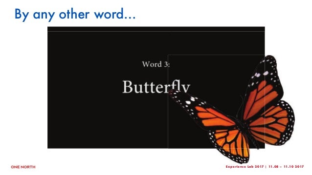 other word for experience