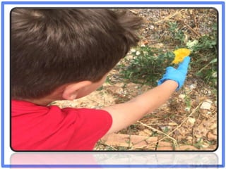 ©VotesForSchools2018
 