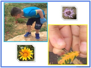 ©VotesForSchools2018
 