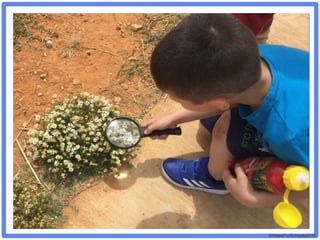 ©VotesForSchools2018
 