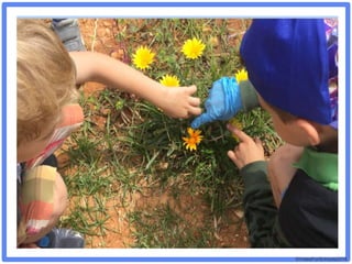 ©VotesForSchools2018
 