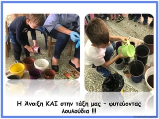 ©VotesForSchools2018
Η Άνοιξη ΚΑΙ στην τάξη μας – φυτεύοντας
λουλούδια !!!
 