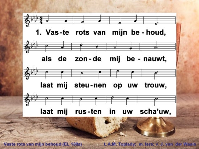 vaste rots