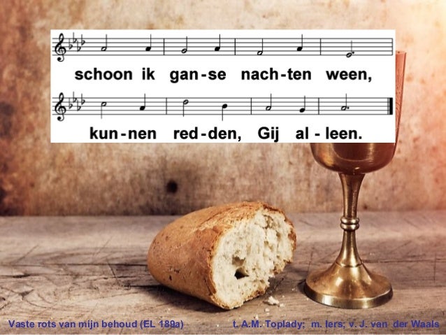 vaste rots