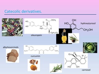 Catecolic derivatives.
curcumin
hydroxytyrosol
alkylresorcinols
carnosol
oleuropein
 