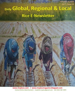 Daily Global, Regional and Local Rice E-Newsletter
www.ricepluss.com / www.riceplusmagazine.blogspot.com
Contact Online Advertisement : mujahid.riceplus@gmail.com Cell: 0321 369 2874
1
Daily Global, Regional & Local
Rice E-Newsletter
October 13,2016
Vol 7 , Issue 10
 