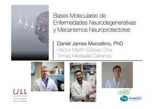 Bases Moleculares de
Enfermedades Neurodegenerativas
y Mecanismos Neuroprotectores
Daniel James Marcellino, PhD
Héctor Martín Estévez Silva
Tomás Mediavilla Carranza
 