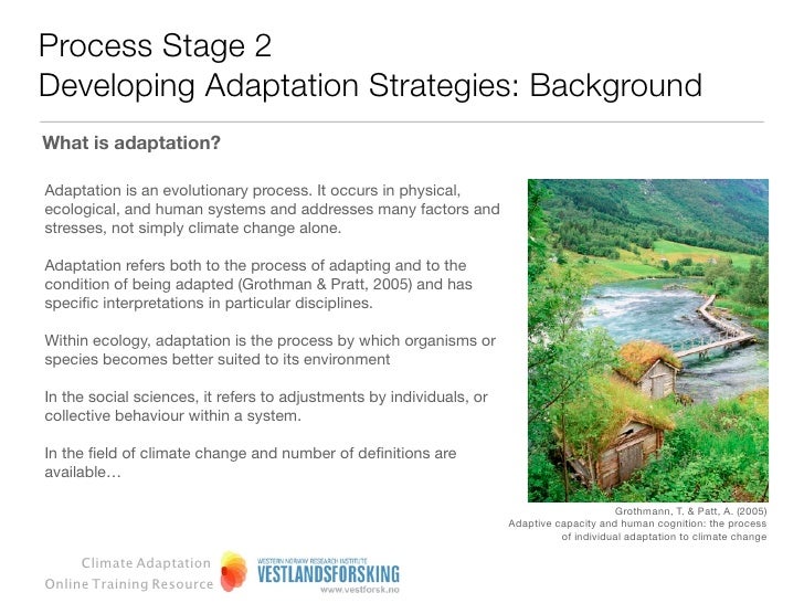 Adaptation dissertation strategic