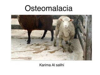 Osteomalacia
Karima Al salihi
 