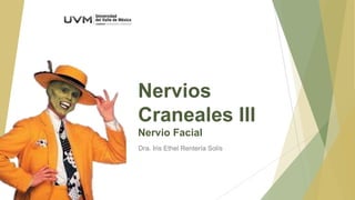 Nervios
Craneales III
Nervio Facial
Dra. Iris Ethel Rentería Solís

 