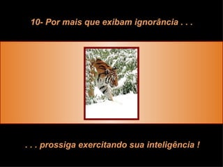 10- Por mais que exibam ignorância . . . . . . prossiga exercitando sua inteligência ! 