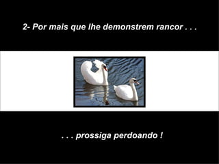 2- Por mais que lhe demonstrem rancor . . . . . . prossiga perdoando ! 