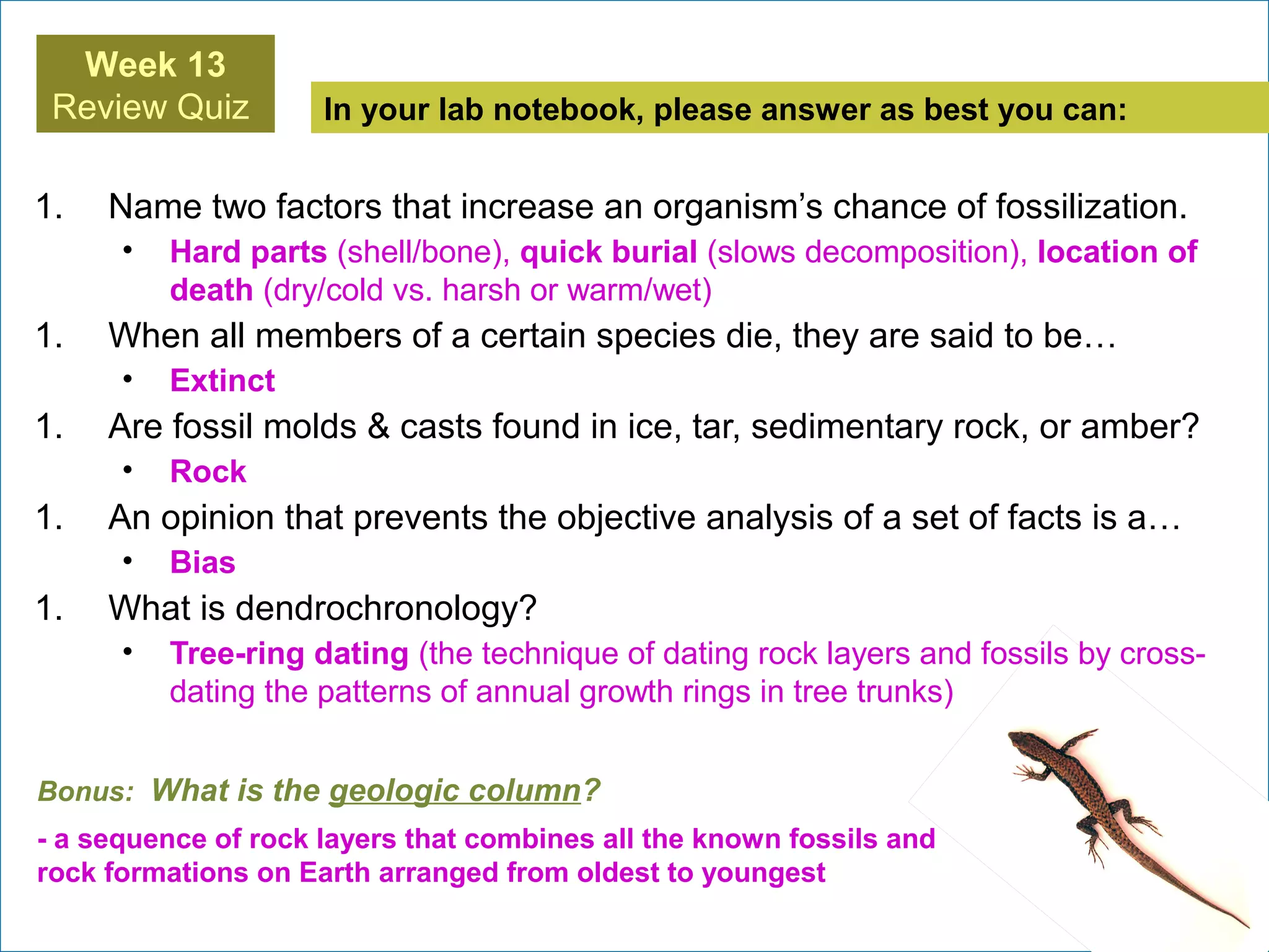 In your lab notebook, please answer as best you can:
Week 13
Review Quiz
Bonus: What is the geologic column?
- a sequence of rock layers that combines all the known fossils and
rock formations on Earth arranged from oldest to youngest
1. Name two factors that increase an organism’s chance of fossilization.
• Hard parts (shell/bone), quick burial (slows decomposition), location of
death (dry/cold vs. harsh or warm/wet)
1. When all members of a certain species die, they are said to be…
• Extinct
1. Are fossil molds & casts found in ice, tar, sedimentary rock, or amber?
• Rock
1. An opinion that prevents the objective analysis of a set of facts is a…
• Bias
1. What is dendrochronology?
• Tree-ring dating (the technique of dating rock layers and fossils by cross-
dating the patterns of annual growth rings in tree trunks)
 