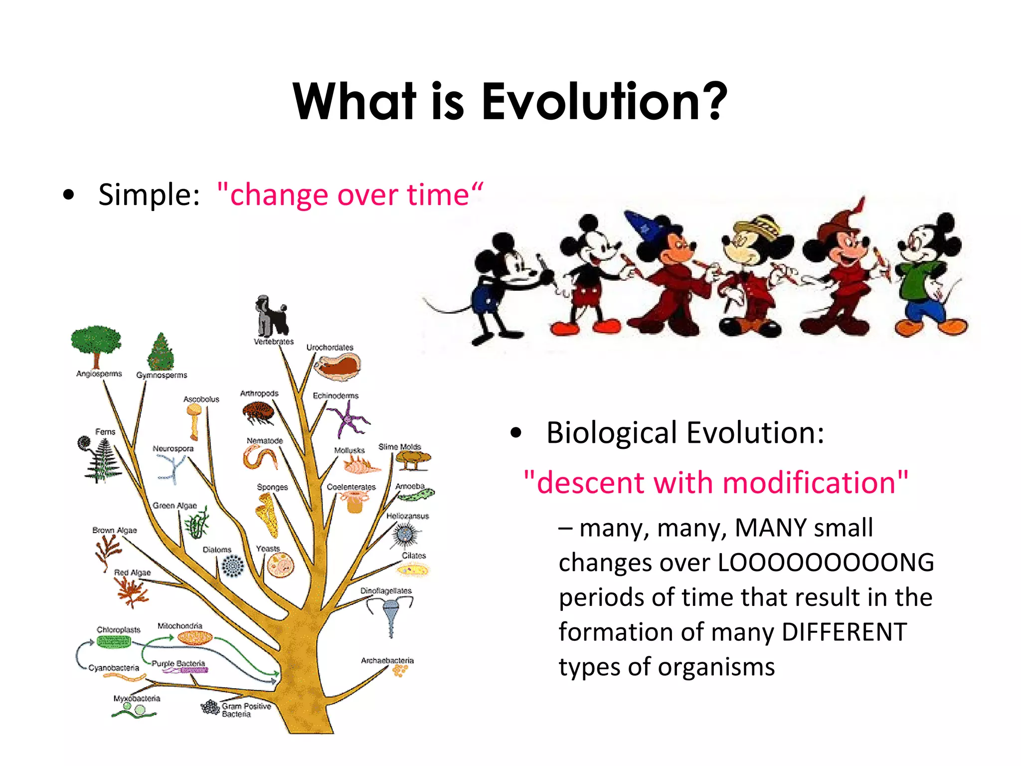 What is Evolution?
• Simple: "change over time“
• Biological Evolution:
"descent with modification"
– many, many, MANY small
changes over LOOOOOOOOONG
periods of time that result in the
formation of many DIFFERENT
types of organisms
 