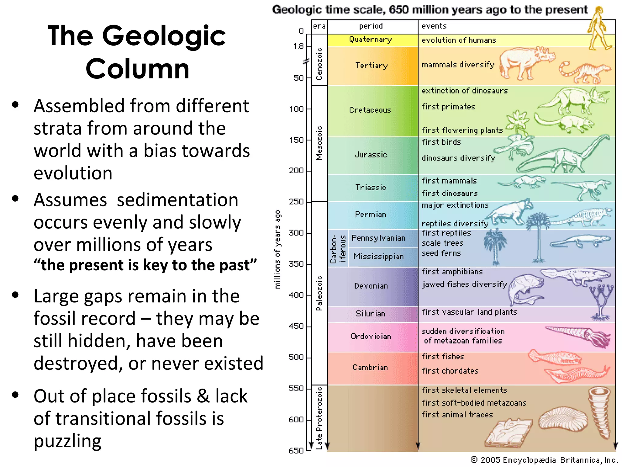 The Geologic
Column
• Assembled from different
strata from around the
world with a bias towards
evolution
• Assumes sedimentation
occurs evenly and slowly
over millions of years
“the present is key to the past”
• Large gaps remain in the
fossil record – they may be
still hidden, have been
destroyed, or never existed
• Out of place fossils & lack
of transitional fossils is
puzzling
 
