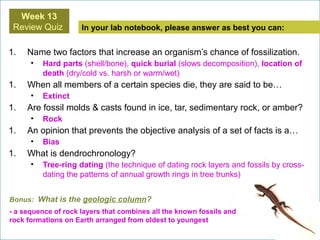 In your lab notebook, please answer as best you can:
Week 13
Review Quiz
Bonus: What is the geologic column?
- a sequence of rock layers that combines all the known fossils and
rock formations on Earth arranged from oldest to youngest
1. Name two factors that increase an organism’s chance of fossilization.
• Hard parts (shell/bone), quick burial (slows decomposition), location of
death (dry/cold vs. harsh or warm/wet)
1. When all members of a certain species die, they are said to be…
• Extinct
1. Are fossil molds & casts found in ice, tar, sedimentary rock, or amber?
• Rock
1. An opinion that prevents the objective analysis of a set of facts is a…
• Bias
1. What is dendrochronology?
• Tree-ring dating (the technique of dating rock layers and fossils by cross-
dating the patterns of annual growth rings in tree trunks)
 