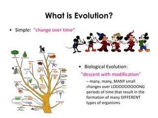 What is Evolution?
• Simple: "change over time“
• Biological Evolution:
"descent with modification"
– many, many, MANY small
changes over LOOOOOOOOONG
periods of time that result in the
formation of many DIFFERENT
types of organisms
 