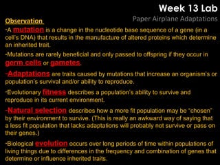 Week 13 Lab
Paper Airplane AdaptationsObservation
-A mutation is a change in the nucleotide base sequence of a gene (in a
cell’s DNA) that results in the manufacture of altered proteins which determine
an inherited trait.
-Mutations are rarely beneficial and only passed to offspring if they occur in
germ cells or gametes.
-Adaptations are traits caused by mutations that increase an organism’s or
population’s survival and/or ability to reproduce.
-Evolutionary fitness describes a population’s ability to survive and
reproduce in its current environment.
-Natural selection describes how a more fit population may be “chosen”
by their environment to survive. (This is really an awkward way of saying that
a less fit population that lacks adaptations will probably not survive or pass on
their genes.)
-Biological evolution occurs over long periods of time within populations of
living things due to differences in the frequency and combination of genes that
determine or influence inherited traits.
 