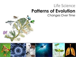 Life Science
Patterns of Evolution
Changes Over Time
 