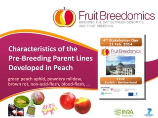 Characteristics of the
Pre-Breeding Parent Lines
Developed in Peach
green peach aphid, powdery mildew,
brown rot, non-acid-flesh, blood-flesh, …

YOUR LOGO

 