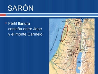 SARÓN 
 Fértil llanura 
costeña entre Jope 
y el monte Carmelo. 
 