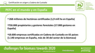 10
Certificación en origen y Cadena de Custodia
PEFC en el mundo y en España
 268 millones de hectáreas certificadas (1,9...