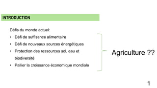 Défis du monde actuel:
• Défi de suffisance alimentaire
• Défi de nouveaux sources énergétiques
• Protection des ressources sol, eau et
biodiversité
• Pallier la croissance économique mondiale
INTRODUCTION
Agriculture ??
1
 