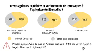 Terres agricoles exploitées et surface totale de terres aptes à
l’agriculture (millions d’ha )
203 1066 228 232
1031 366
AMERIQUE LATINE ET
CARAIBES
AFRIQUE
SUBSAHARIENNE
ASIE DE L’EST
Proche orient ,Asie du sud et Afrique du Nord : 94% de terres aptes à
l’agriculture sont déjà exploité
Soldes de terres Terres déjà exploitées
19
 