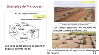 Exemples de Microbassin
Les trous où les plantes poussent en
poquets, comme les zaï
Les buttes épousant les courbes de
niveaux comme les Fanya Juu
Les petits bassins fermés légèrement inclinés comme
les negarim 29
 