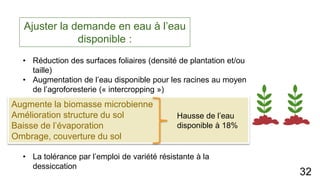 Ajuster la demande en eau à l’eau
disponible :
• Réduction des surfaces foliaires (densité de plantation et/ou
taille)
• Augmentation de l’eau disponible pour les racines au moyen
de l’agroforesterie (« intercropping »)
• La tolérance par l’emploi de variété résistante à la
dessiccation
32
Augmente la biomasse microbienne
Amélioration structure du sol
Baisse de l’évaporation
Ombrage, couverture du sol
Hausse de l’eau
disponible à 18%
 